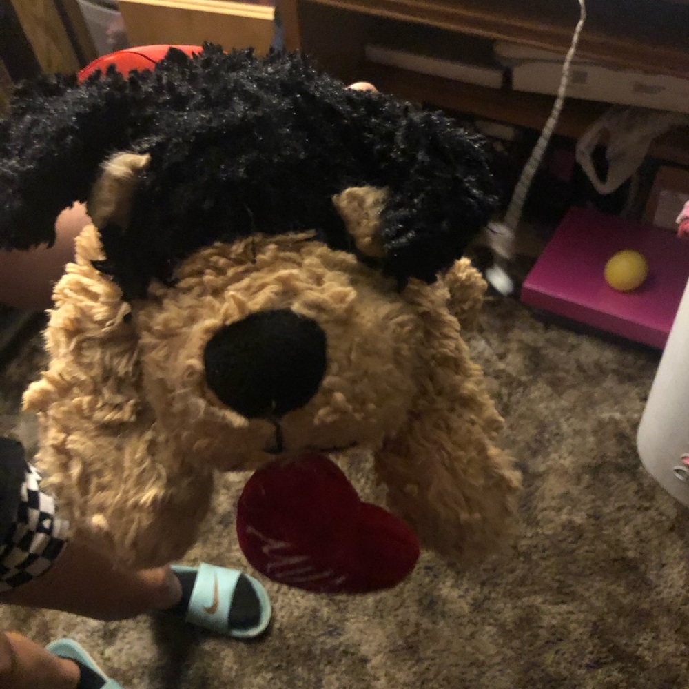 Clean stuffed animals